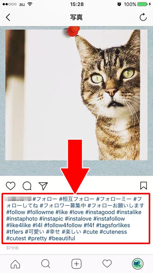 ハッシュタグの数が多い|インスタのキャプションが消える(表示されない)原因と対処方法