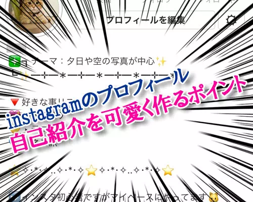 インスタで自己紹介をオシャレに可愛く作るポイント
