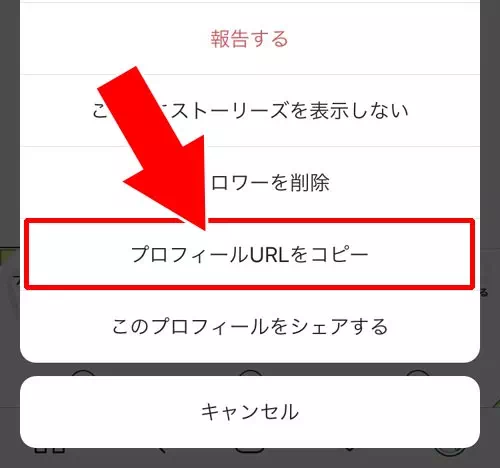 インスタのプロフィール写真(アイコン画像)を保存する方法