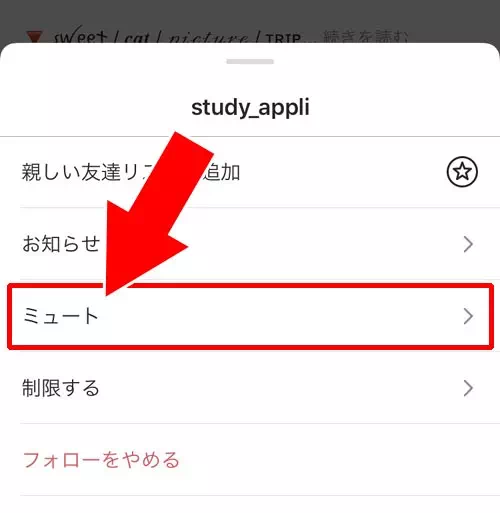 プロフィール画面からミュート設定する方法|インスタでミュートの設定と解除方法!ミュートした相手の一覧も確認できます