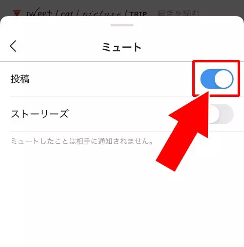 プロフィール画面からミュート設定する方法|インスタでミュートの設定と解除方法!ミュートした相手の一覧も確認できます