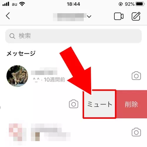 DMのミュートで個別に消す|インスタでオンライン表示(緑マーク)を消す方法!一括と個別で消し方が違います