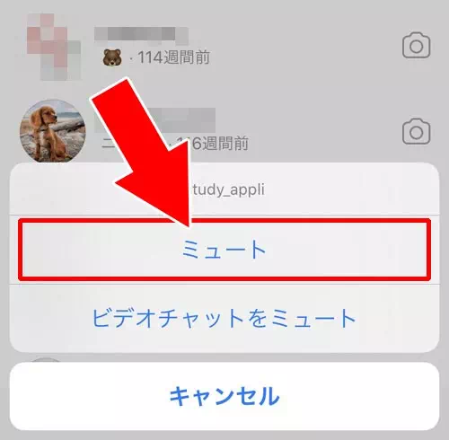 DMのミュートで個別に消す|インスタでオンライン表示(緑マーク)を消す方法!一括と個別で消し方が違います