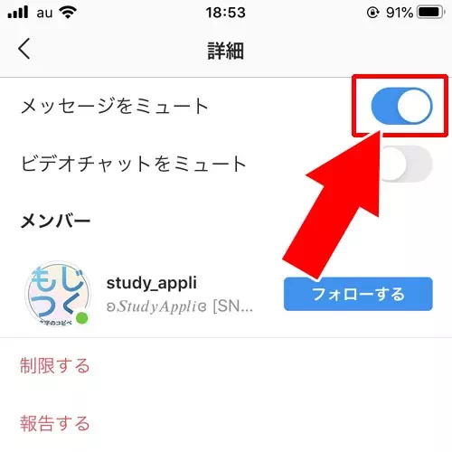 DMのメッセージ画面からミュートする・解除する|インスタのDMでミュートとは?オンライン中表示や相手にバレるのかも解説