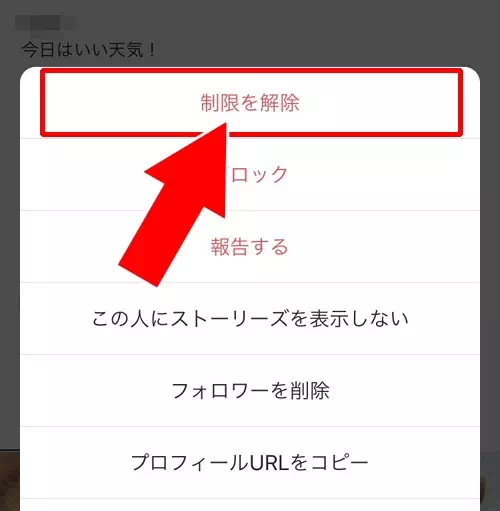 アカウント制限してメッセージを読む|インスタでDMに既読をつけないで読む方法!未読に戻す機能で既読は消えないので注意