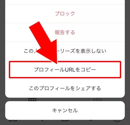 無料ツールを使ってアイコンを拡大する|インスタのアイコン(プロフィール写真)を拡大する方法