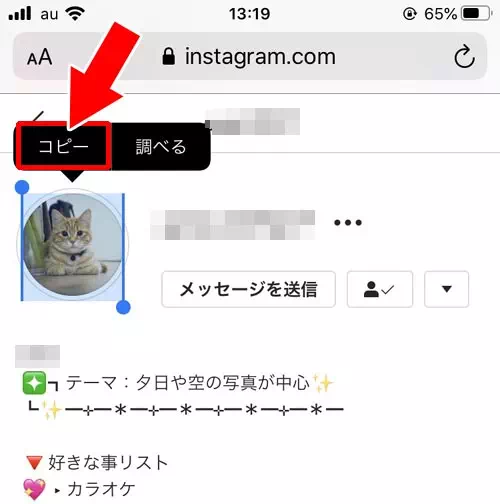 インスタのweb版からコピーしてアイコンを拡大する|インスタのアイコン(プロフィール写真)を拡大する方法