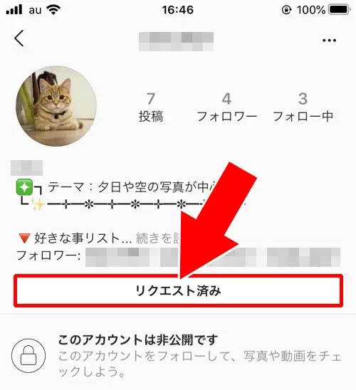 フォローした側(リクエスト中)|インスタのフォローリクエストとは?確認・削除・無視でどうなるか解説します