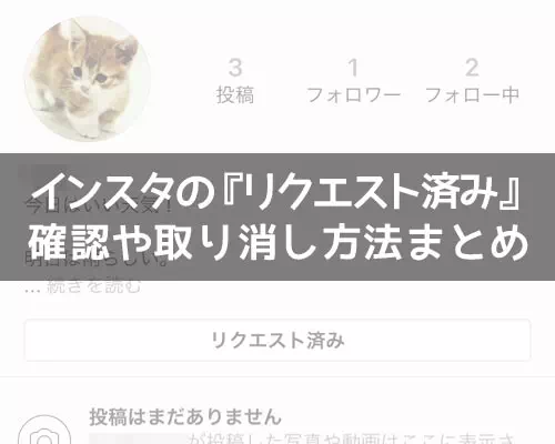 インスタで『リクエスト済み』の確認や取り消し方法!ずっと残る理由も解説します