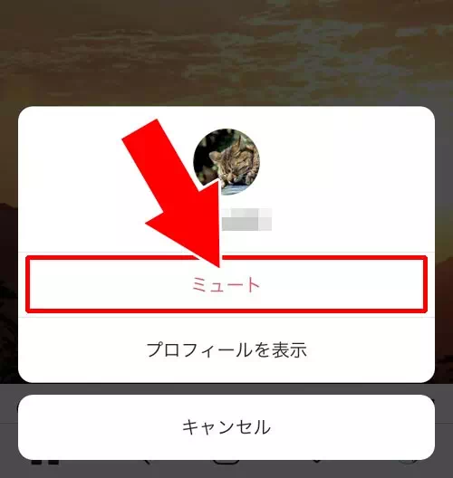 ストーリーをミュートにする|インスタストーリーの順番で一番左に出てくる人の理由
