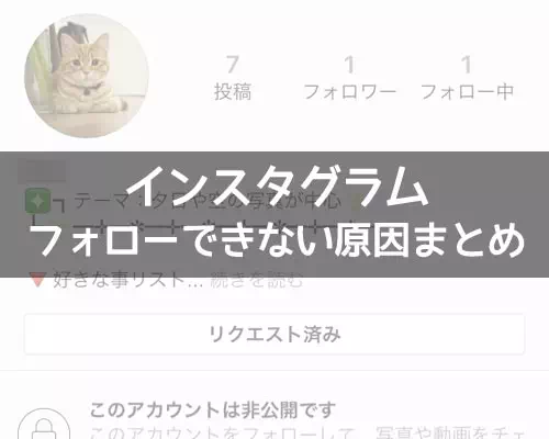 インスタでフォローできない原因!アクションがブロックされた時の対処方法も解説