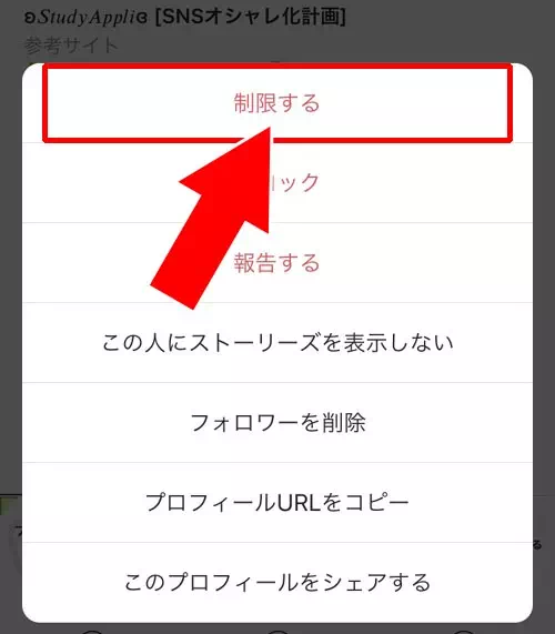 アカウント制限で個別に消す|インスタでオンライン表示(緑マーク)を消す方法!一括と個別で消し方が違います