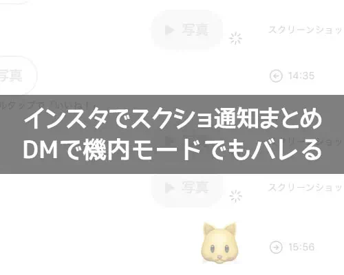 インスタでスクショしたら通知でバレる!DMで機内モードでも通知されるので注意です