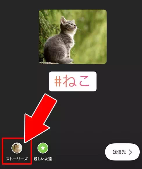 インスタストーリーでハッシュタグの付け方!複数ハッシュタグを付ける方法も解説