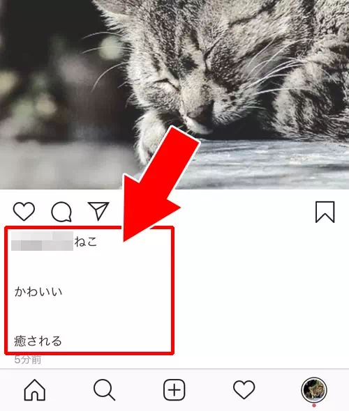 インスタで複数改行する方法|インスタの投稿で改行する方法!改行できない理由も解説します