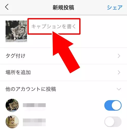 インスタグラムのキャプションとは?書き方や文字数などの疑問まとめ