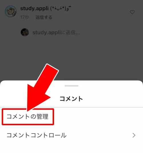 複数のコメントを選択してまとめて削除する - インスタの投稿に書かれたコメントを削除する方法|インスタでコメントの返信方法!投稿にコメントされたくない時は制限で対応しよう