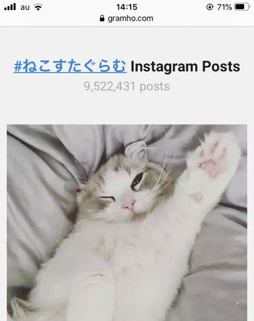 写真を検索する(ハッシュタグ検索)|インスタ検索できるGramhir(Gramho)の使い方!ストーリーが出ない原因も解説します
