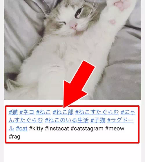 写真のキャプションから更に検索できる - 写真を検索する(ハッシュタグ検索)|インスタ検索できるGramhir(Gramho)の使い方!ストーリーが出ない原因も解説します