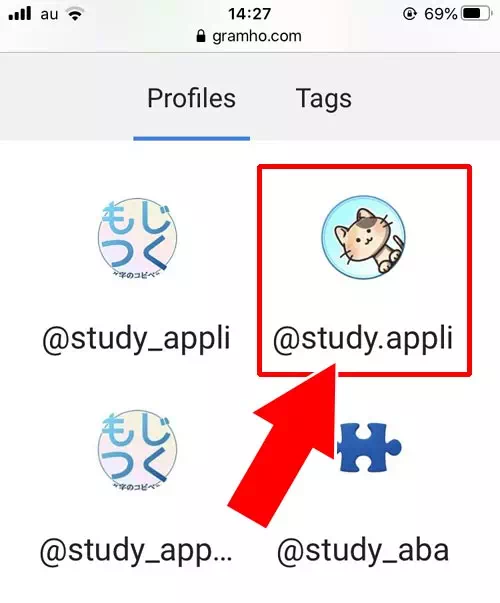 アカウントを検索する|インスタ検索できるGramhir(Gramho)の使い方!ストーリーが出ない原因も解説します