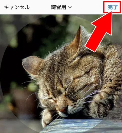 プロフィール画像(アイコン)を変更する|インスタでプロフィールの使い方!編集方法や可愛く変更するコツなどまとめ