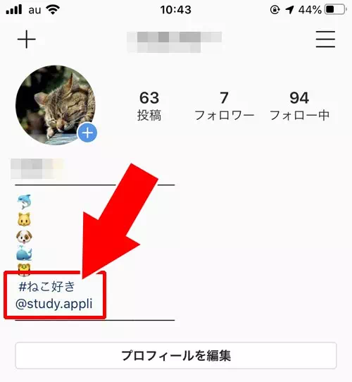 自己紹介を変更する｜インスタでプロフィールの使い方！編集方法や可愛く変更するコツなどまとめ