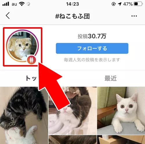 インスタでハッシュタグの検索方法｜インスタでハッシュタグの使い方！付け方や検索や人気ランキングなどまとめ