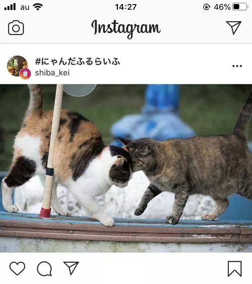 ハッシュタグをフォローするとどうなる?|インスタでハッシュタグの使い方!付け方や検索や人気ランキングなどまとめ