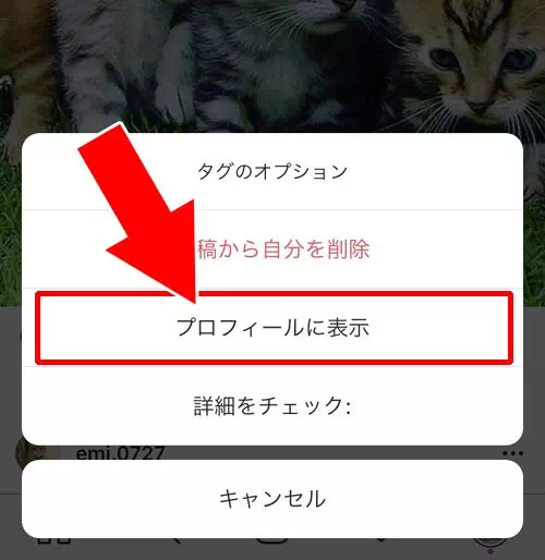 インスタでタグ付けの削除や非表示にした写真を戻すには?|インスタでタグ付けされた時の対処方法!勝手なタグ付けは削除や非表示で対応しよう