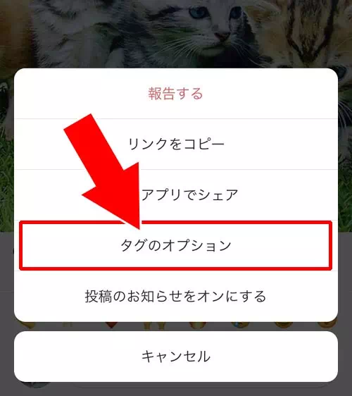 タグ付けから自分を削除する|インスタでタグ付けされた時の対処方法!勝手なタグ付けは削除や非表示で対応しよう