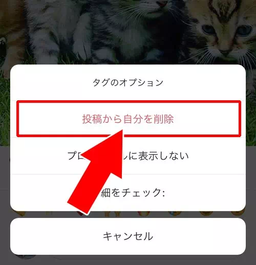 タグ付けから自分を削除する|インスタでタグ付けされた時の対処方法!勝手なタグ付けは削除や非表示で対応しよう