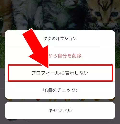 タグ付け写真をプロフィールから非表示にする|インスタでタグ付けされた時の対処方法!勝手なタグ付けは削除や非表示で対応しよう