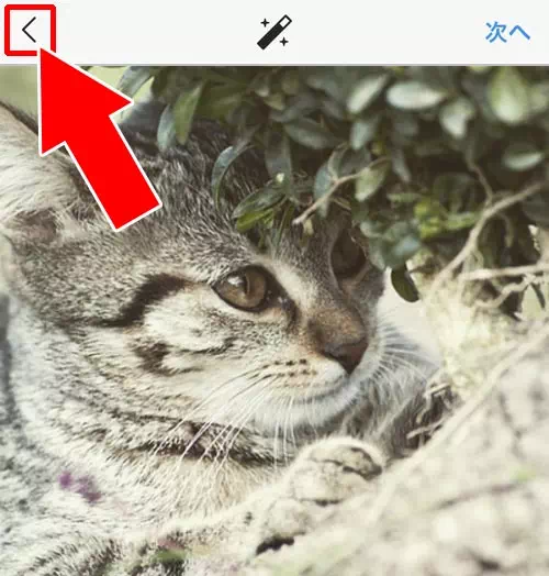 インスタで下書き保存のやり方!下書き保存できない原因もまとめました