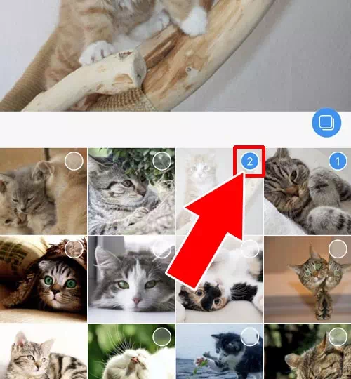 インスタで複数投稿の写真サイズ変更方法!写真が切れる、サイズが変わる原因も解説