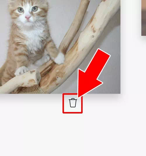 複数投稿で不要な写真を削除する|インスタの複数投稿方法!複数投稿できない原因もまとめました