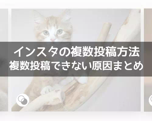 インスタの複数投稿方法!複数投稿できない原因もまとめました