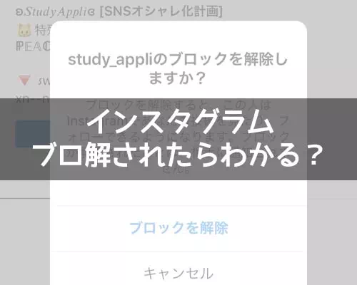 インスタでブロ解されたらわかる?DMや通知など仕組みを解説します