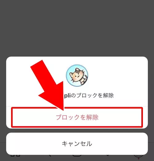 コメントブロックの解除方法|インスタのコメントブロックとは?やり方やブロックされた時の仕組みまとめ