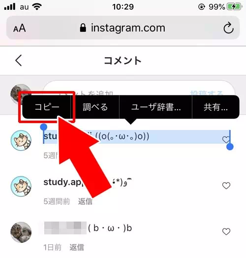 web版やPC版からコメントをコピーする|インスタでコメントをコピーする方法とコピー文章の翻訳方法