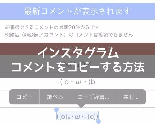 インスタでコメントをコピーする方法とコピー文章の翻訳方法