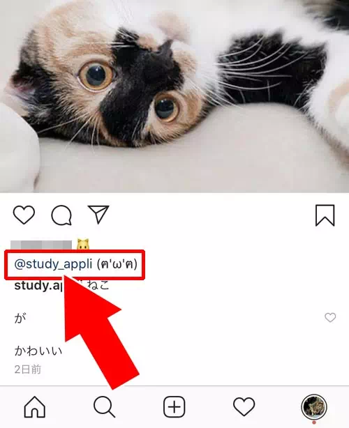 インスタのメンションとは?|インスタのキャプションでメンションする方法!メンション通知の仕組みも解説します
