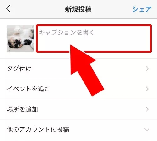 インスタのキャプションでメンションを付ける方法|インスタのキャプションでメンションする方法!メンション通知の仕組みも解説します