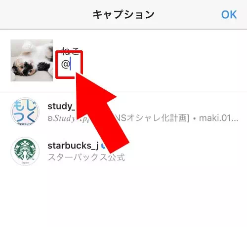 インスタのキャプションでメンションを付ける方法|インスタのキャプションでメンションする方法!メンション通知の仕組みも解説します