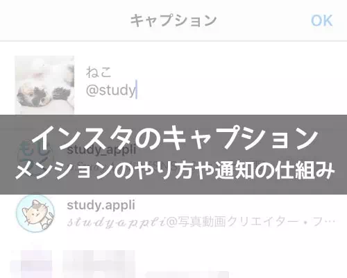 インスタのキャプションでメンションする方法!メンション通知の仕組みも解説します