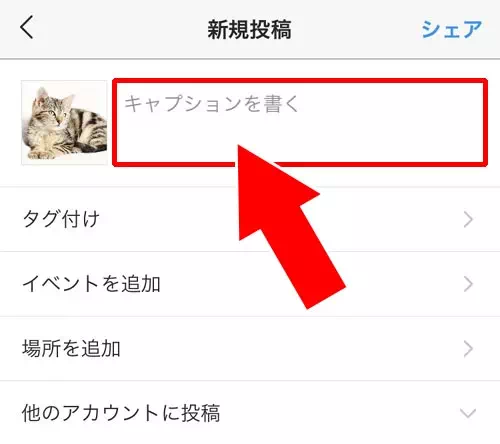 インスタでキャプションを書く方法|インスタグラムでキャプションの使い方まとめ