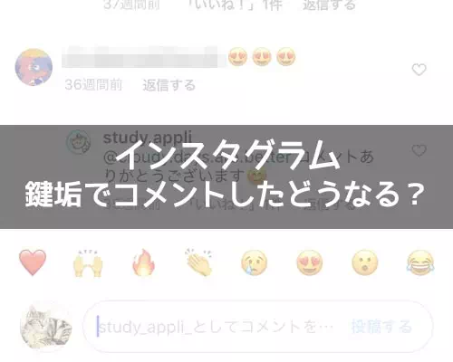 インスタの鍵垢でコメントしたらどうなる?|インスタの鍵垢でコメントしたどうなる?ストーリーのリアクションもできます