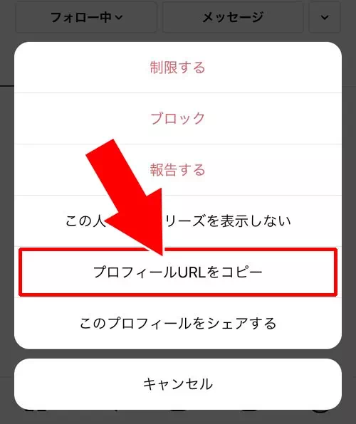 他人のアカウントの非公開設定を確認する方法|インスタで非公開設定にする方法!設定解除や確認方法も解説します