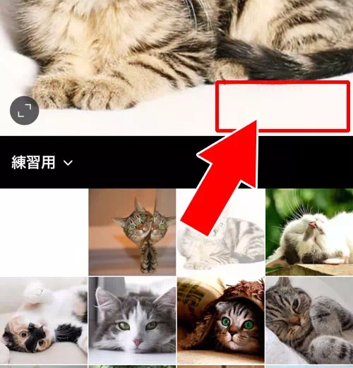 インスタアプリの仕様変更があった|インスタの複数投稿方法!複数投稿できない原因もまとめました