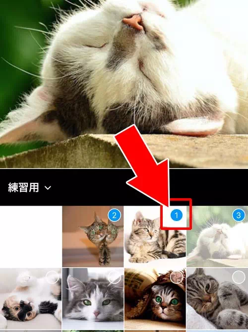 インスタアプリの仕様変更があった|インスタの複数投稿方法!複数投稿できない原因もまとめました
