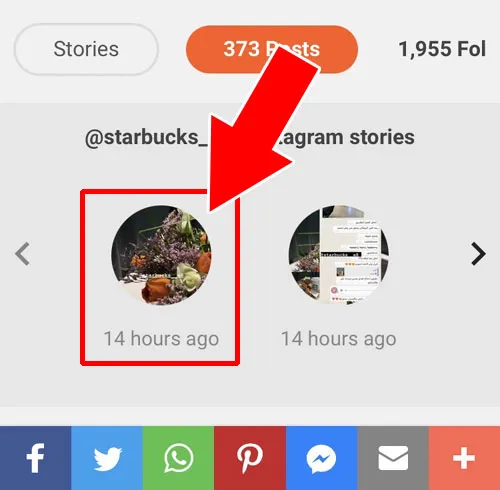 ログインなしでストーリーも見れる|Picuki(ピクキ)の使い方!インスタにログインなしでストーリーも見れます